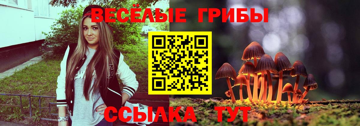 Псилоцибиновые грибы ЛСД  Вход с VPN  что такое   Узловая 